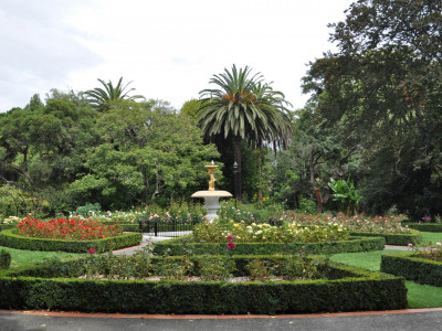 Civic gardens