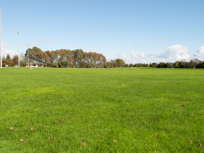 Wide-area turf