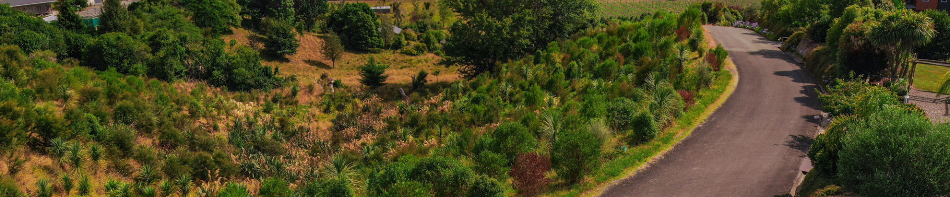 shutterstock 1389026279