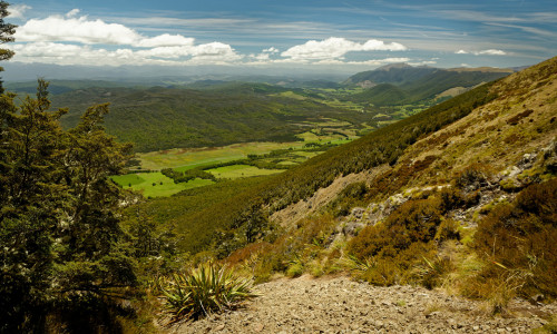 shutterstock 1841395711 Nelson Lakes