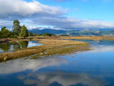 Wetland restoration