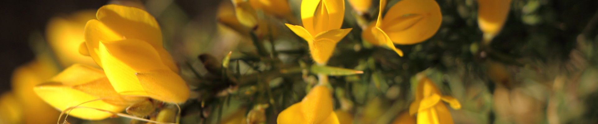 shutterstock 690669355