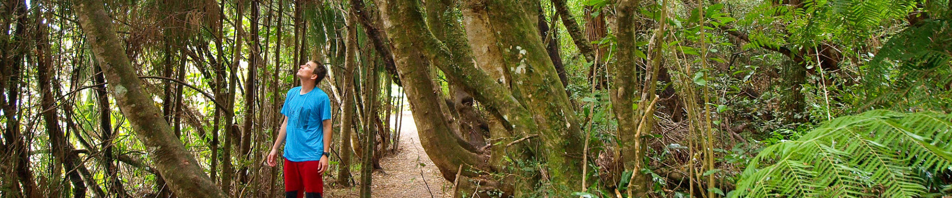 shutterstock 92206570